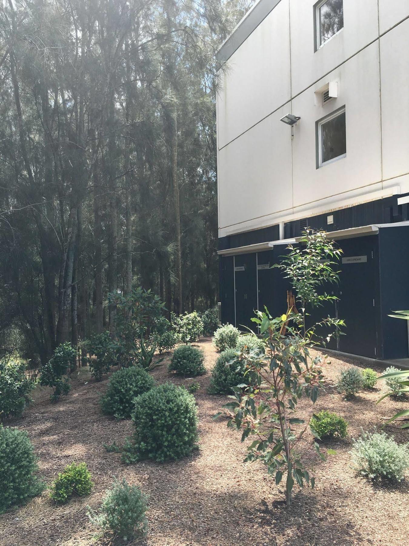 Ibis Budget - 3*
